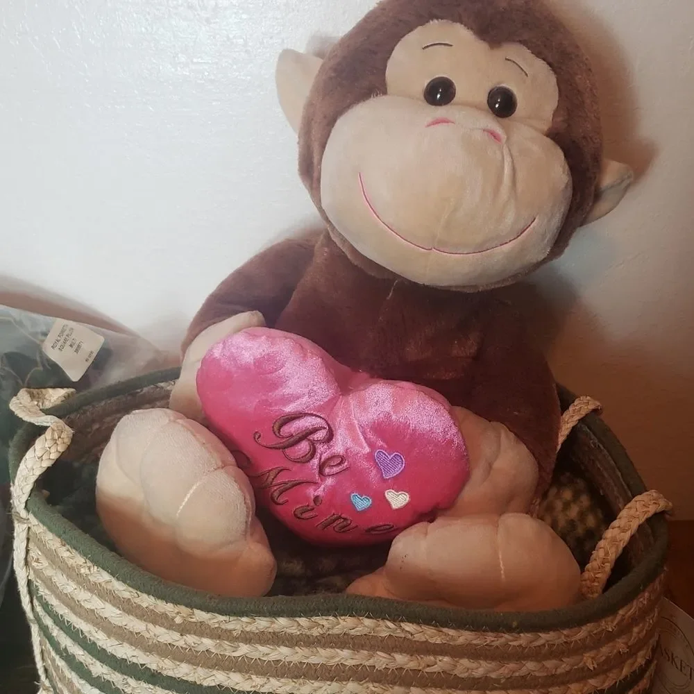 Large basket pet bed